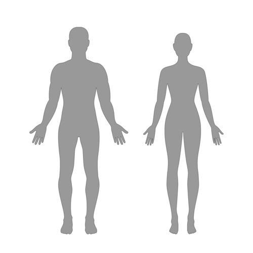 diagram of a man and woman